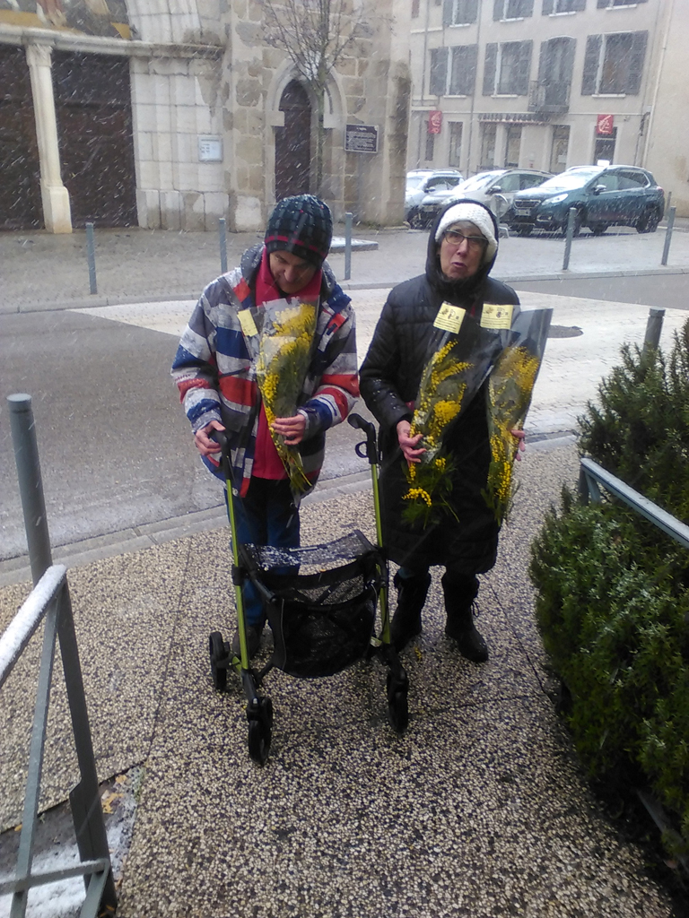 Vente de mimosa à Saint-Martin-la-plaine