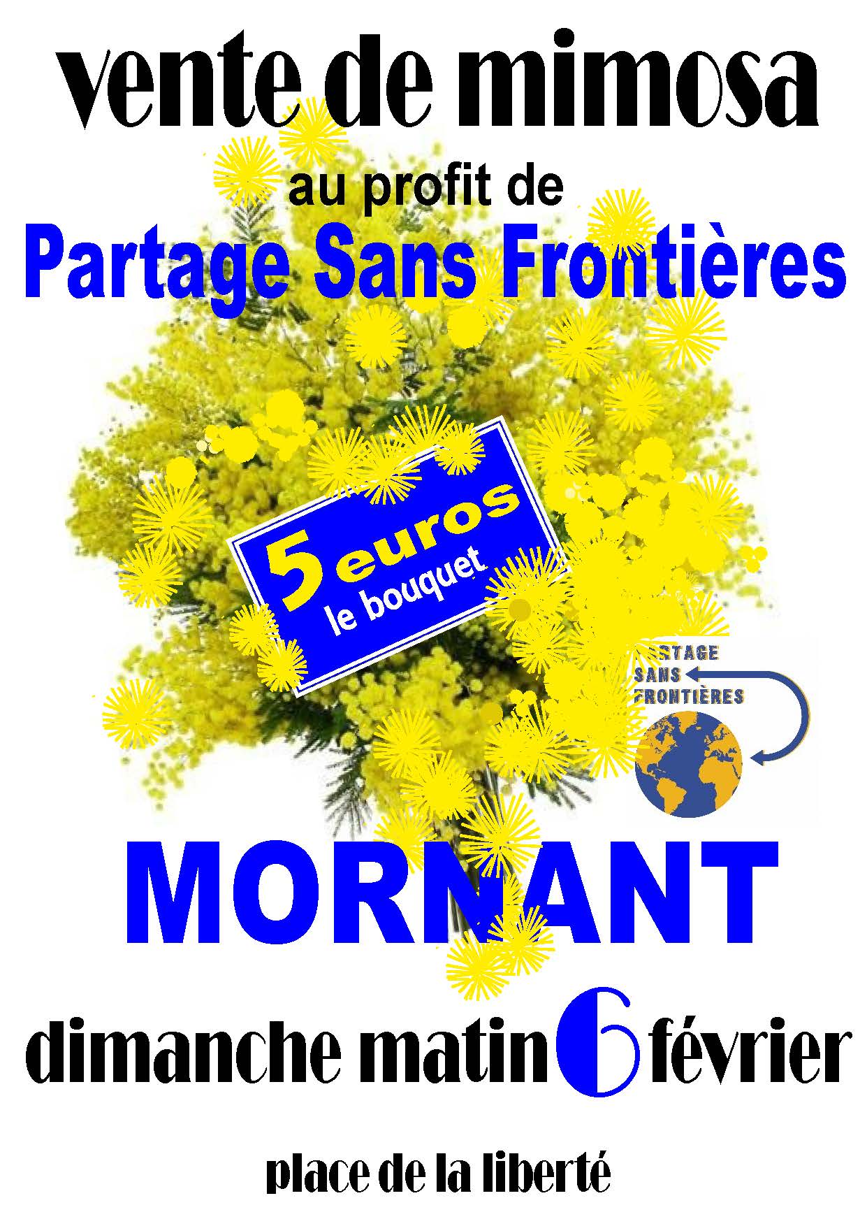 Vente de mimosa à Mornant