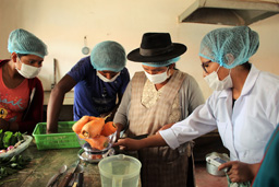 Projet agro-écologique soutenu par Partage sans Frontières en Bolivie