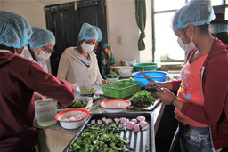 Projet agro-écologique soutenu par Partage sans Frontières en Bolivie