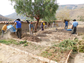 Projet agro-écologique soutenu par Partage sans Frontières en Bolivie