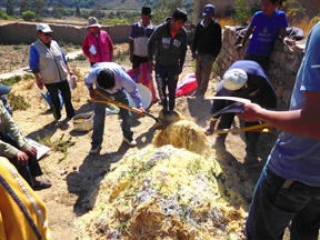 Projet agro-écologique soutenu par Partage sans Frontières en Bolivie