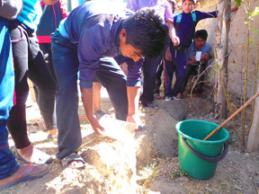 Projet agro-écologique soutenu par Partage sans Frontières en Bolivie