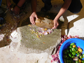 Projet agro-écologique soutenu par Partage sans Frontières en Bolivie