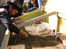 Projet agro-écologique soutenu par Partage sans Frontières en Bolivie