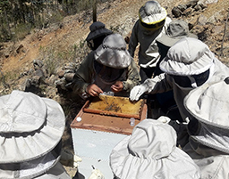 Projet en Bolivie dans la région de Tarabuco soutenu par Partage sans Frontières