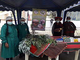 Projet en Bolivie dans la région de Tarabuco soutenu par Partage sans Frontières