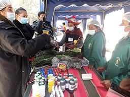 Projet en Bolivie dans la région de Tarabuco soutenu par Partage sans Frontières