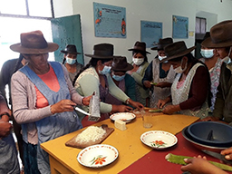 Projet en Bolivie dans la région de Tarabuco soutenu par Partage sans Frontières