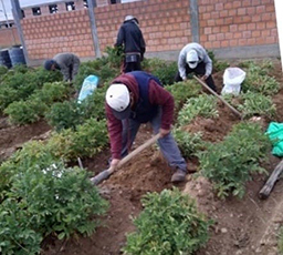 Le projet de Luz de Esperanza