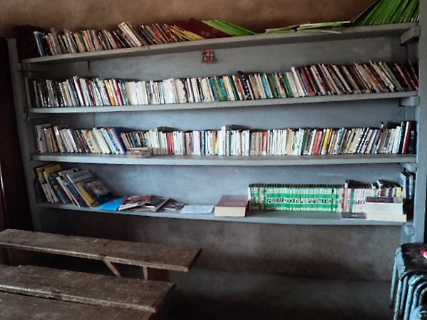 Les livres dans la bibliothèque à Soukuy en avril 2013