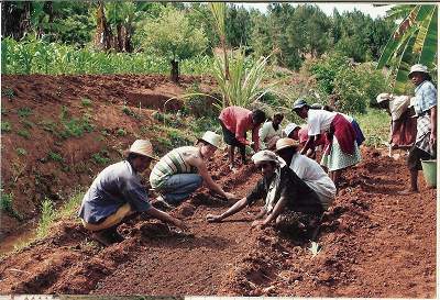 201107_madagascar_0001.jpg