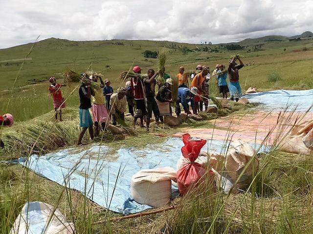 20160403_madagascar_andrahalana-01.jpg