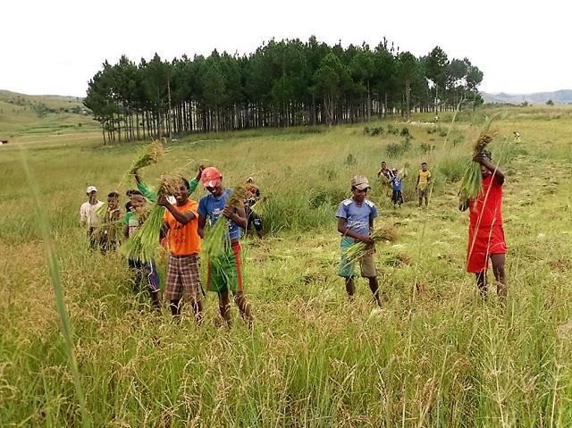 20160403_madagascar_andrahalana-02.jpg