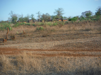 Centre de soins de Toliara