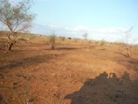 Centre de soins de Toliara