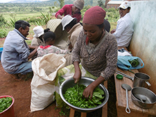 Projet de distribution de réchauds performants à Madagascar