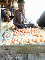 Projet d'aide alimentaire à Tuléar