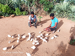 Projets de Vanastalee soutenu par Partage sans Frontières