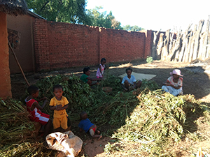 Projet à Isoanala soutenu par Partage sans Frontières