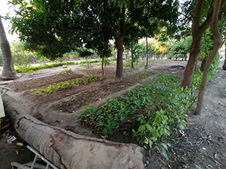 Projet à Morandava soutenu par Partage sans Frontières